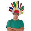 WP1488 - Feather Headdress